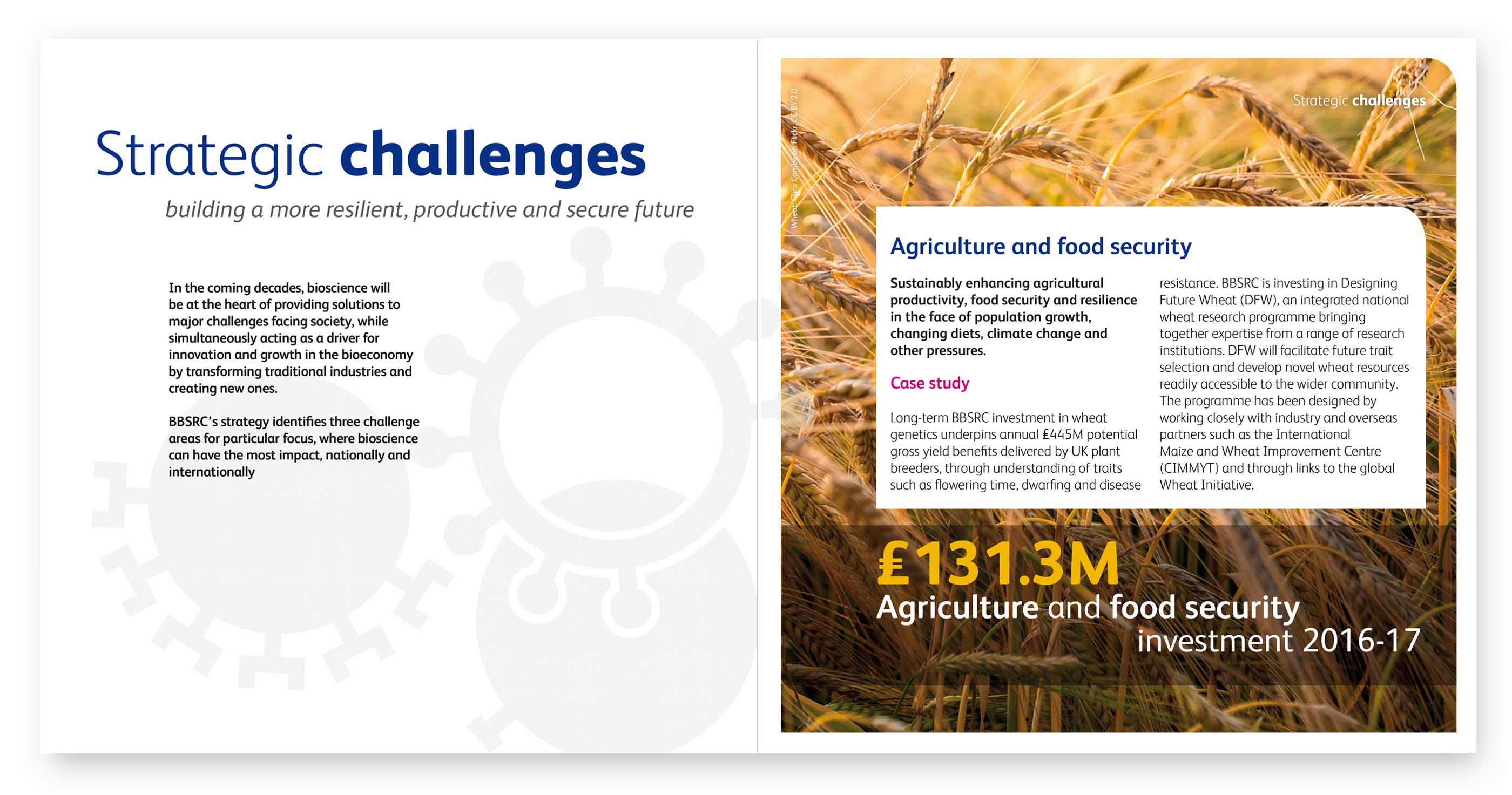 BBSRC - At A Glance - Brochure Design