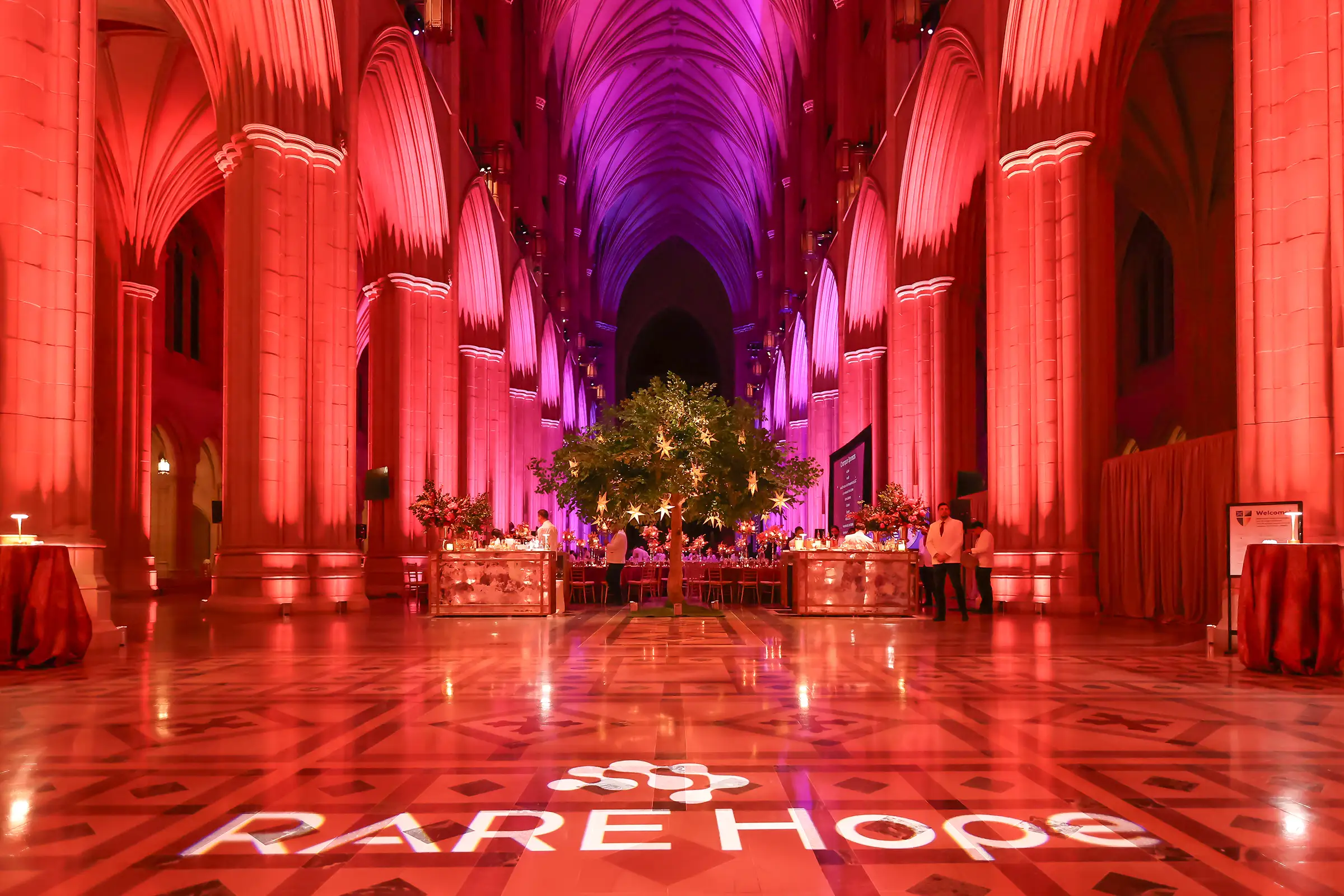 RARE Hope charity gala held in the National Cathedral in Washington