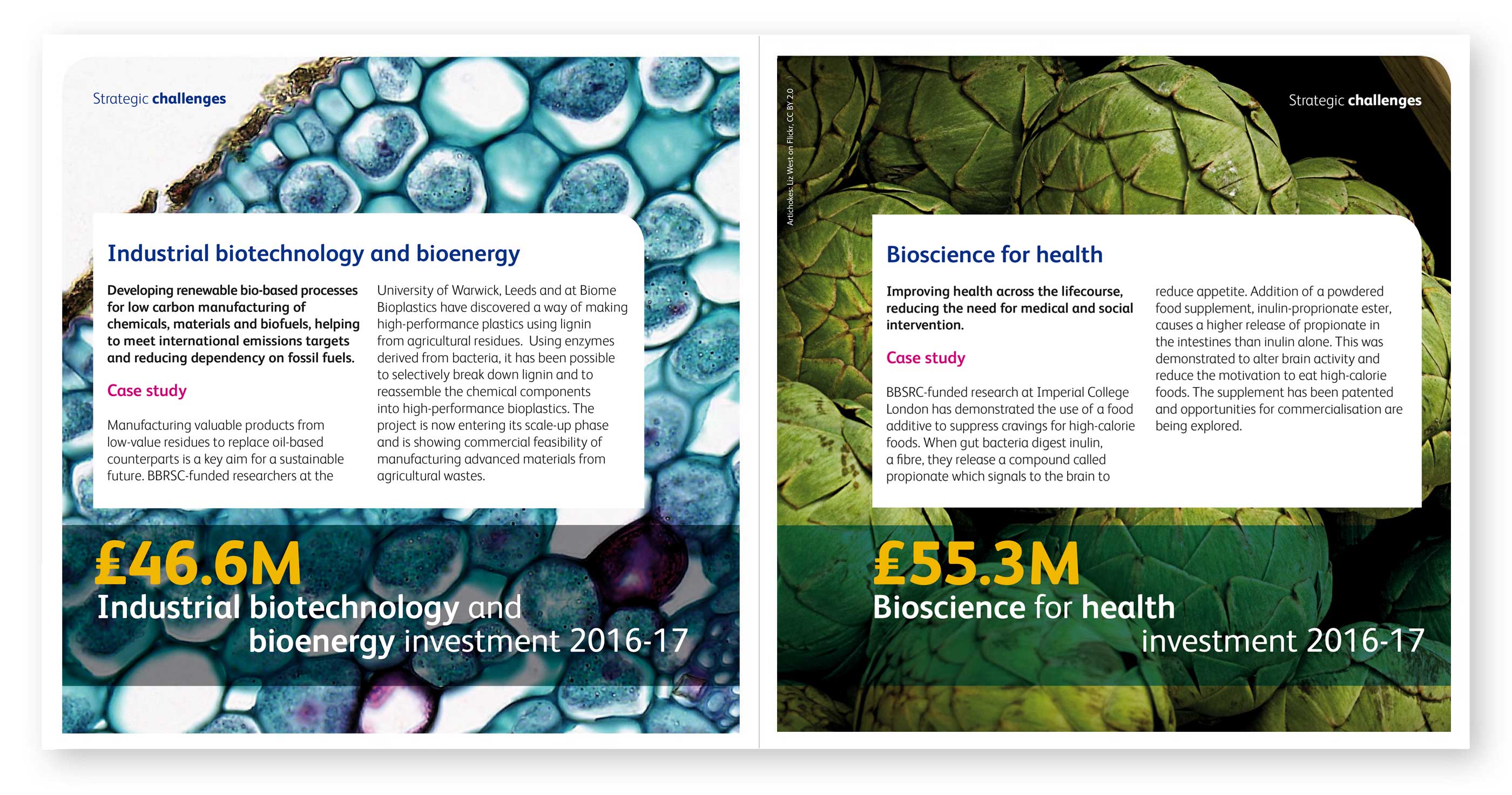 BBSRC - At A Glance - Brochure Design