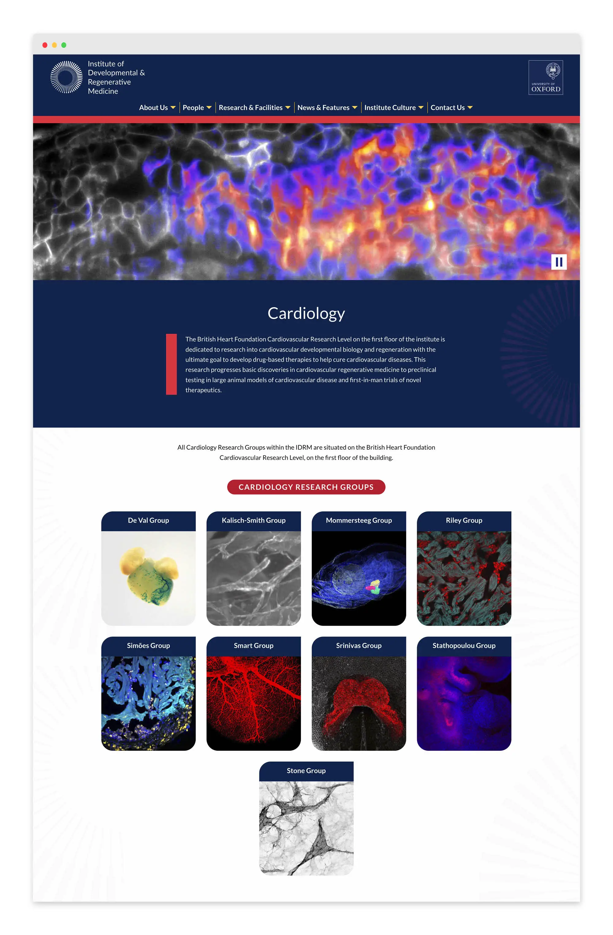 IDRM Website Science Cardiology Page